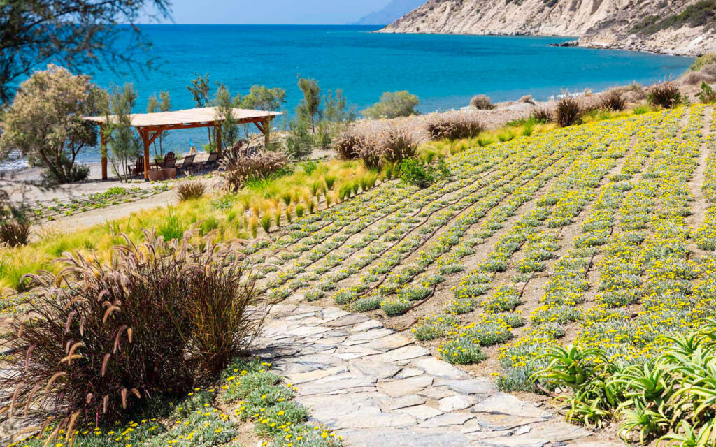 Luxury Villa Caretta Two in Crete