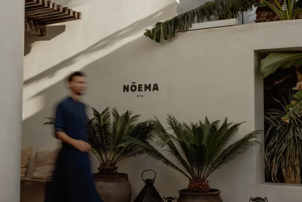 Noema Mykonos