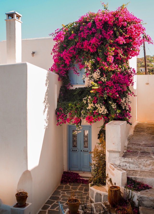 Paros Philoxeneia